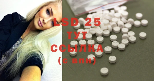 стафф Алексин